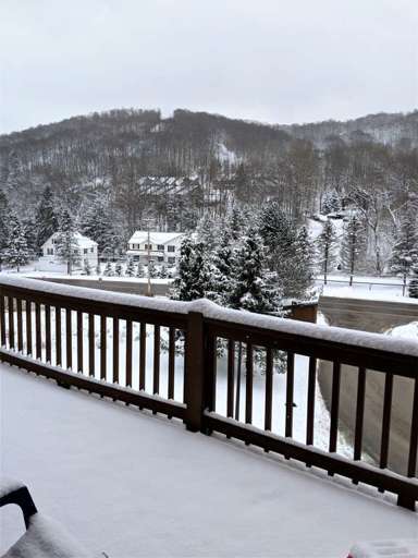 Kitchen  / living area Level deck Views
